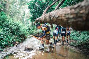 BIB: 
                            <button type="button" onclick="openModal(25374883)" class="btn btn-primary btn-sm float-right btn-popup" data-toggle="modal" data-target=".modal-high-quality">
                        <i class="fas fa-shopping-cart"></i> Add to Cart
                    </button>
                                            <button type="button" onclick="isThisMe(25374883, true)" class="btn btn-success btn-sm float-right btn-popup btn-isme hidden" data-toggle="tooltip" data-placement="bottom" title="นี่คือรูปของคุณใช่ไหม คลิกที่นี่เพื่อเอาเข้าอัลบั้ม">
                        <i class="fas fa-plus"></i> Add to album
                    </button>
                    <button type="button" onclick="isThisMe(25374883, false)" class="btn btn-warning btn-sm float-right btn-popup btn-isnotme hidden">
                        <i class="fas fa-ban"></i> Remove from album
                    </button>